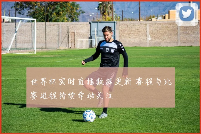 世界杯实时直播数据更新 赛程与比赛进程持续牵动关注