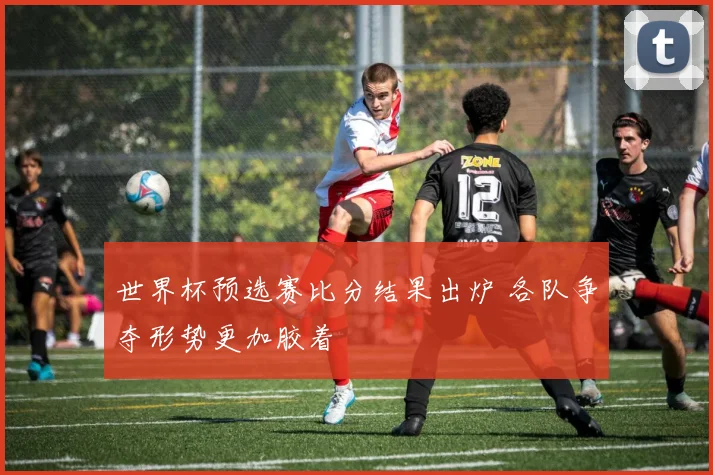 世界杯预选赛比分结果出炉 各队争夺形势更加胶着