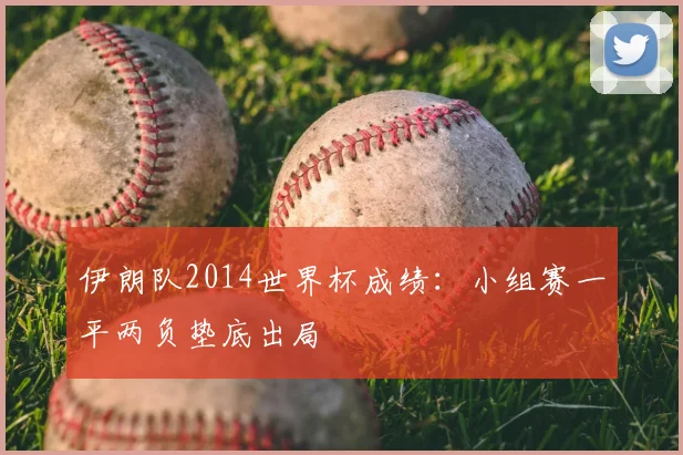 伊朗队2014世界杯成绩：小组赛一平两负垫底出局